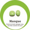mangue
