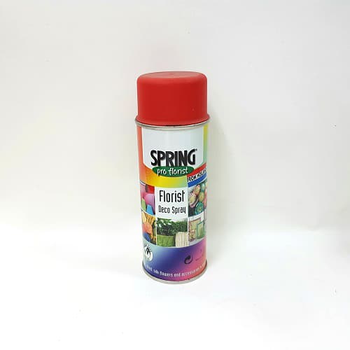 Bombe florale spring from holland Bombe florale spring from holland