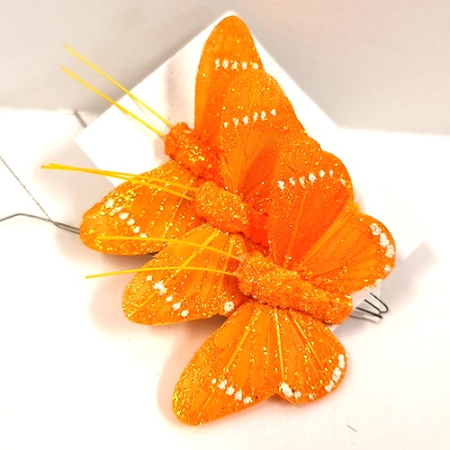 Papillon orange