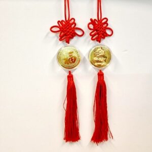 Pendentif pièce or dragon