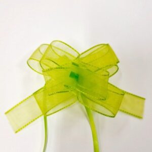 Petit noeud magique vert