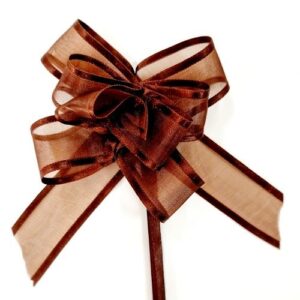 Petit noeud magique marron organza bord satin