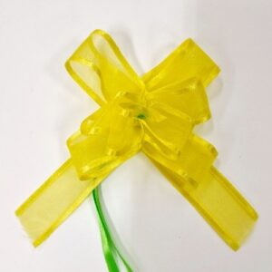 Petit noeud magique vert organza bord satin