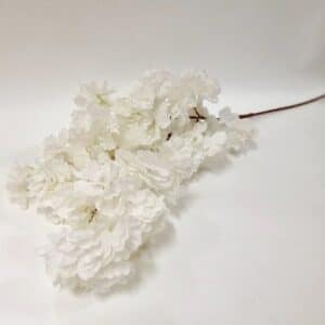 Tige de fleurs de cerisier blanche