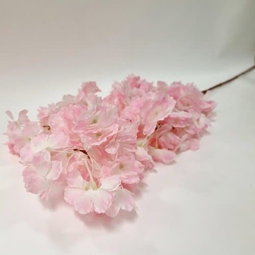 Tige de fleurs de cerisier rose clair