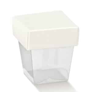 Boite transparente avec couvercle