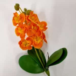 Mini Orchidée h24cm