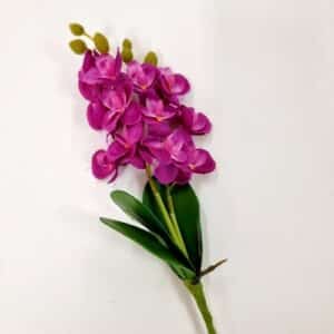 Mini orchidée h24cm