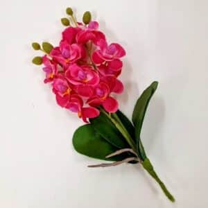 Mini orchidée h24cm