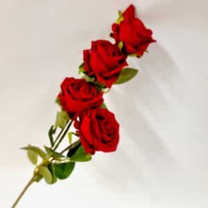 Tige de 4 roses rouges