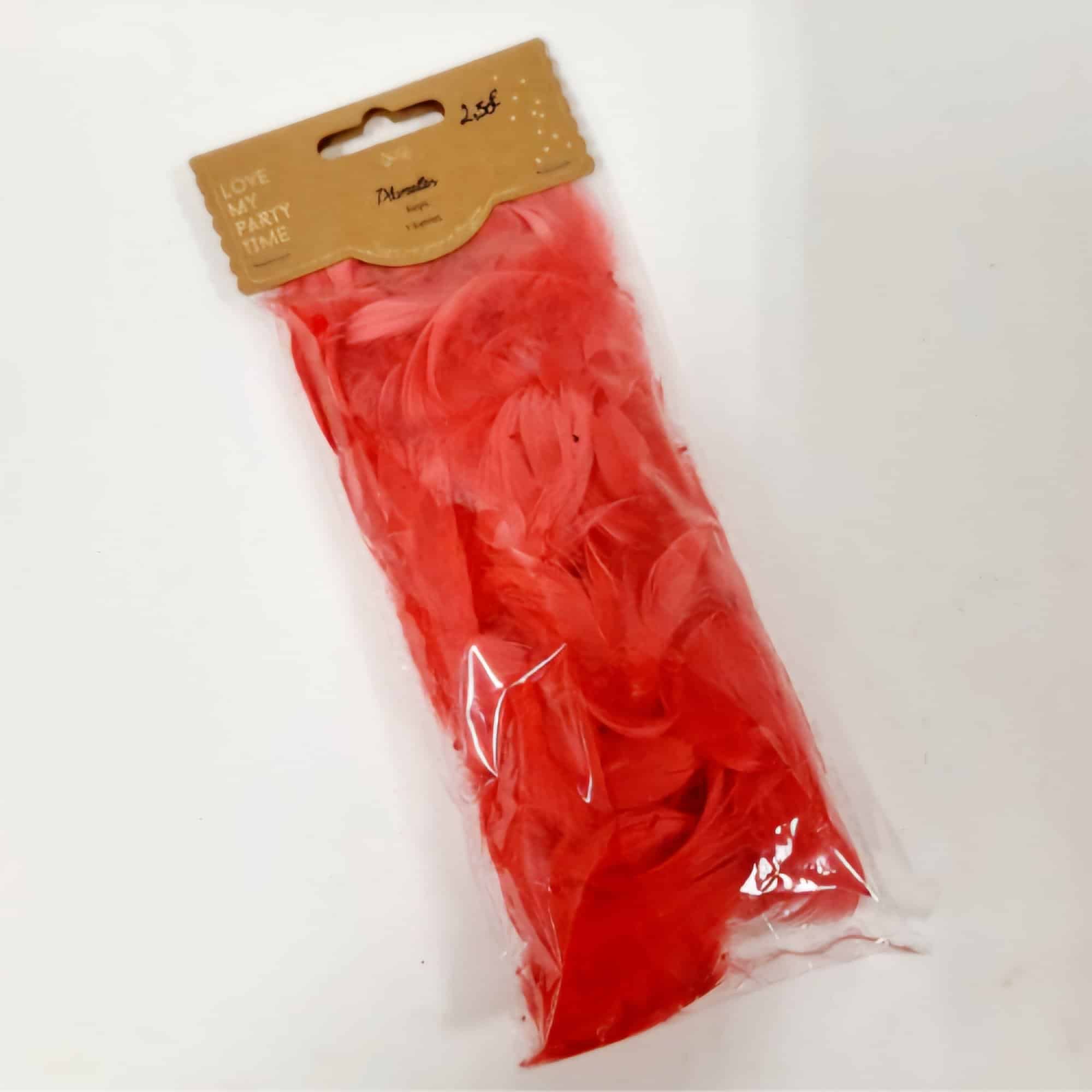 Paquet plumettes 5g – Image 1