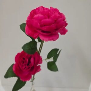 Œillets fuchsia