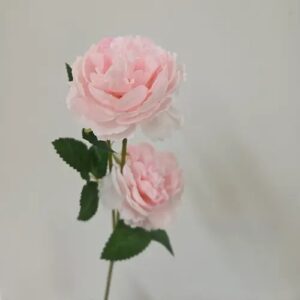 Œillets rose clair