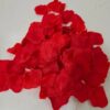 Pétales rouge - Thumbnail Image 1