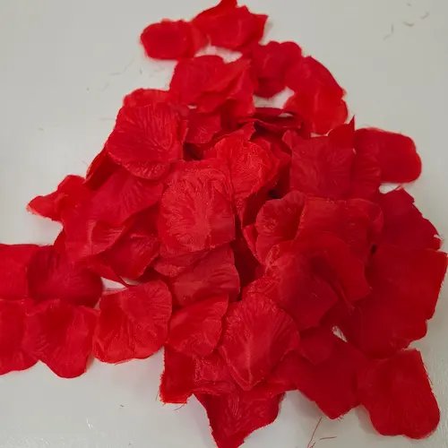 Pétales rouge – Image 1