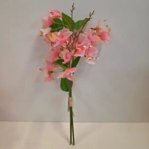 Tige bougainvillier